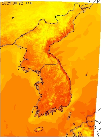 2025-08-22 11 : 00