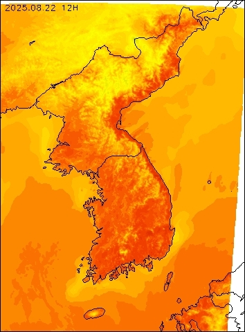 2025-08-22 12 : 00
