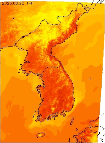 2025-08-22 14 : 00