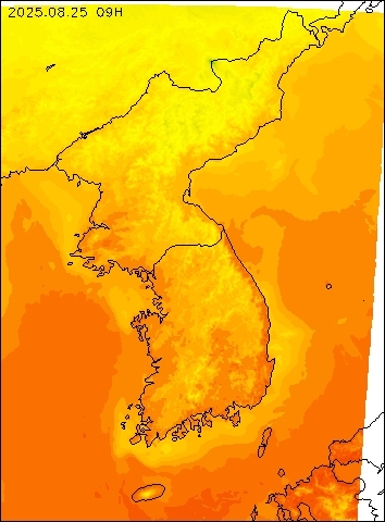 2025-08-25 09 : 00