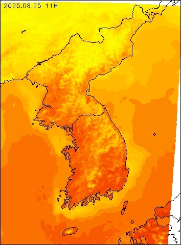 2025-08-25 11 : 00