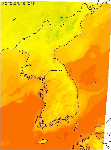 2025-08-26 06 : 00