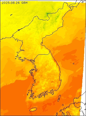 2025-08-26 08 : 00