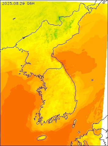 2025-08-29 06 : 00