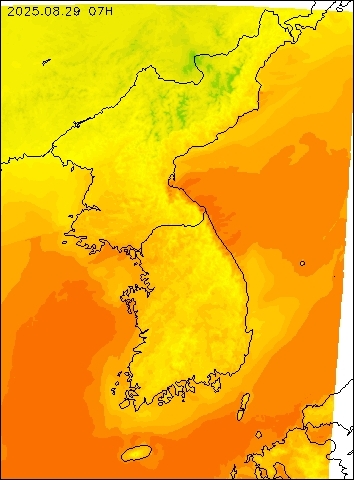 2025-08-29 07 : 00