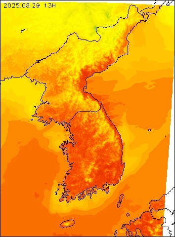 2025-08-29 13 : 00