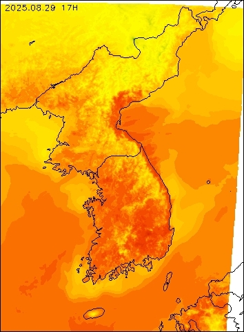 2025-08-29 17 : 00