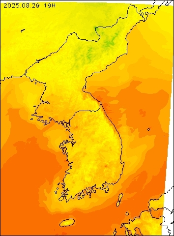 2025-08-29 19 : 00