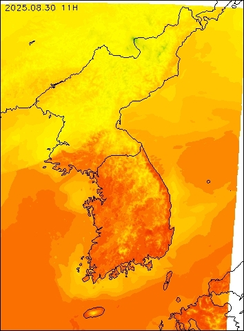 2025-08-30 11 : 00