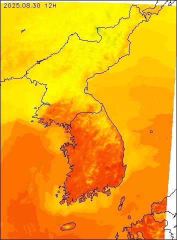 2025-08-30 12 : 00