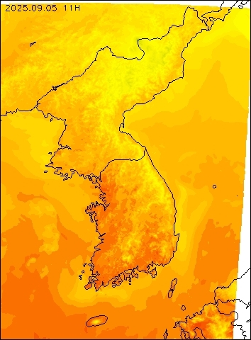 2025-09-05 11 : 00