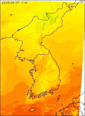 2025-09-07 11 : 00