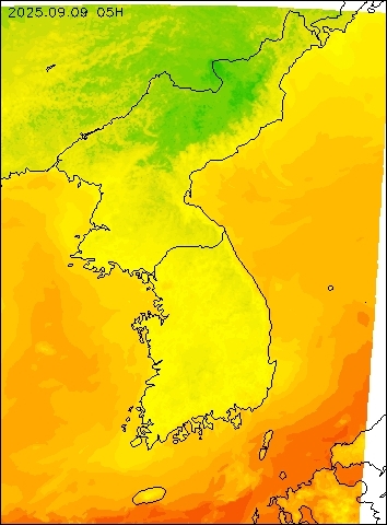 2025-09-09 05 : 00
