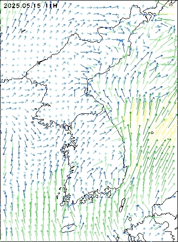 2025-05-15 11 : 00