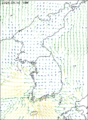 2025-05-16 19 : 00
