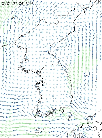 2025-07-24 11 : 00