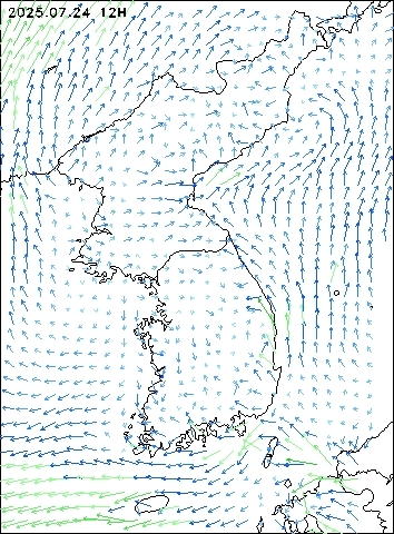 2025-07-24 12 : 00