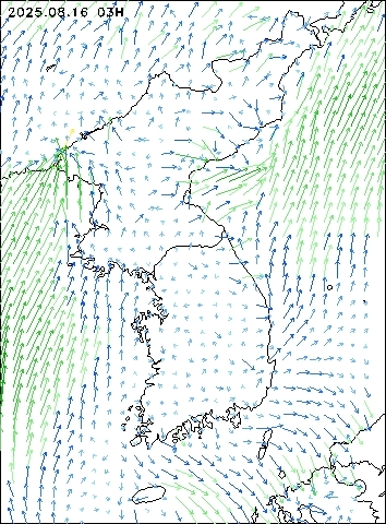 2025-08-16 03 : 00