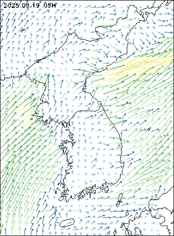 2025-08-19 05 : 00
