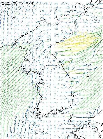 2025-08-19 07 : 00