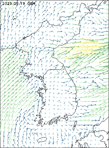 2025-08-19 08 : 00