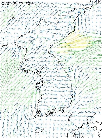 2025-08-19 12 : 00