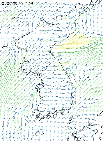 2025-08-19 13 : 00