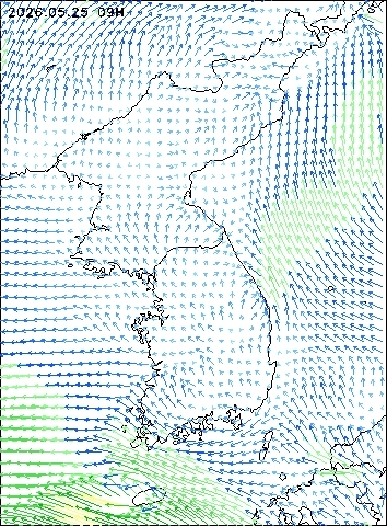 2026-05-25 09 : 00