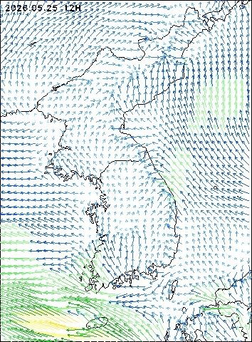 2026-05-25 12 : 00