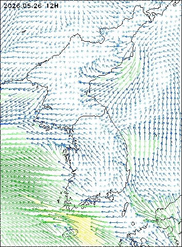 2026-05-26 12 : 00