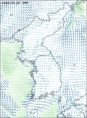 2026-05-28 06 : 00