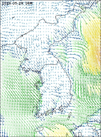 2026-05-29 06 : 00