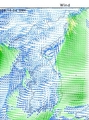 風